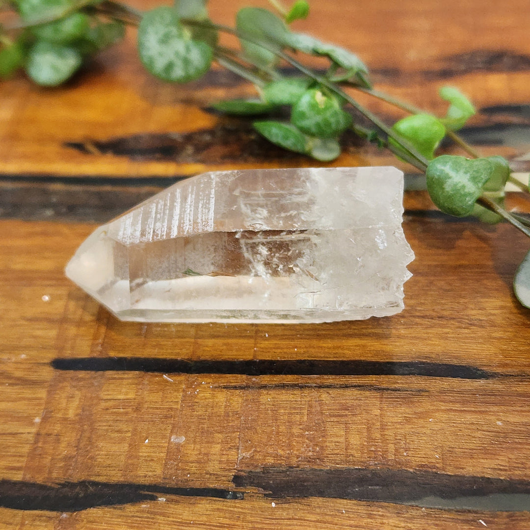 Lemurian Smoky Quartz - Point