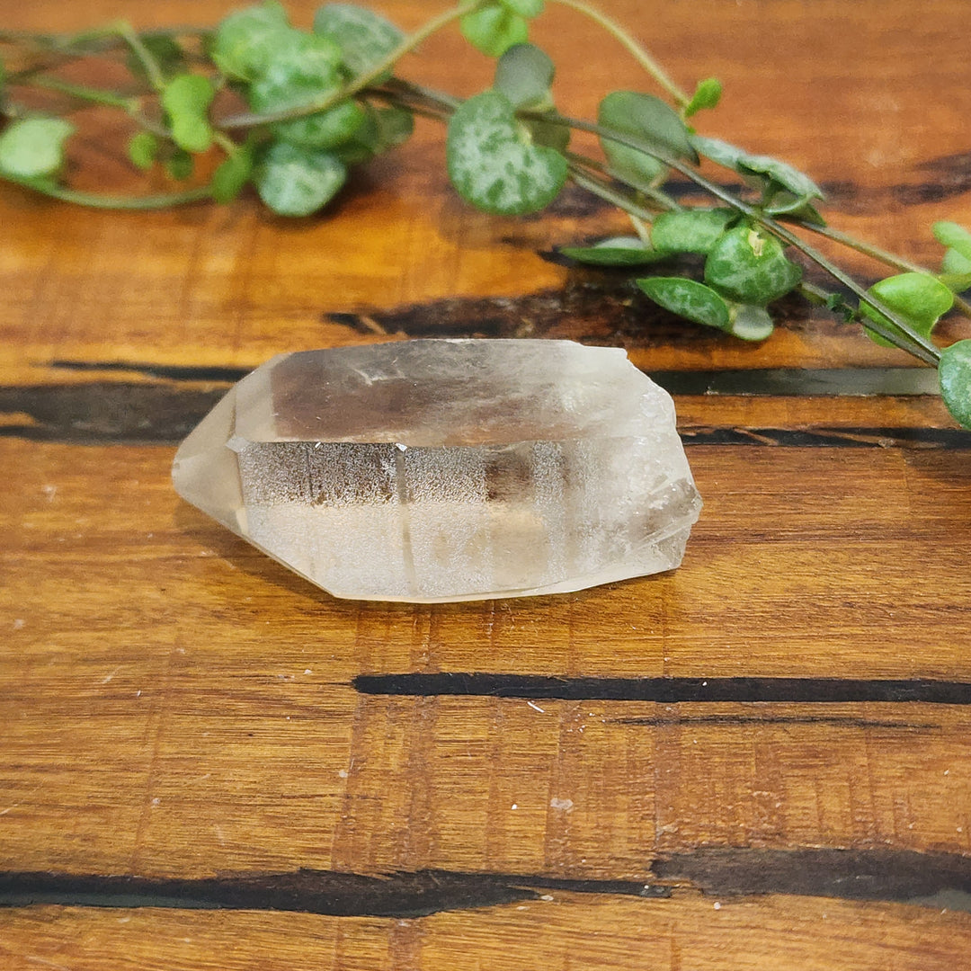 Lemurian Smoky Quartz - Point