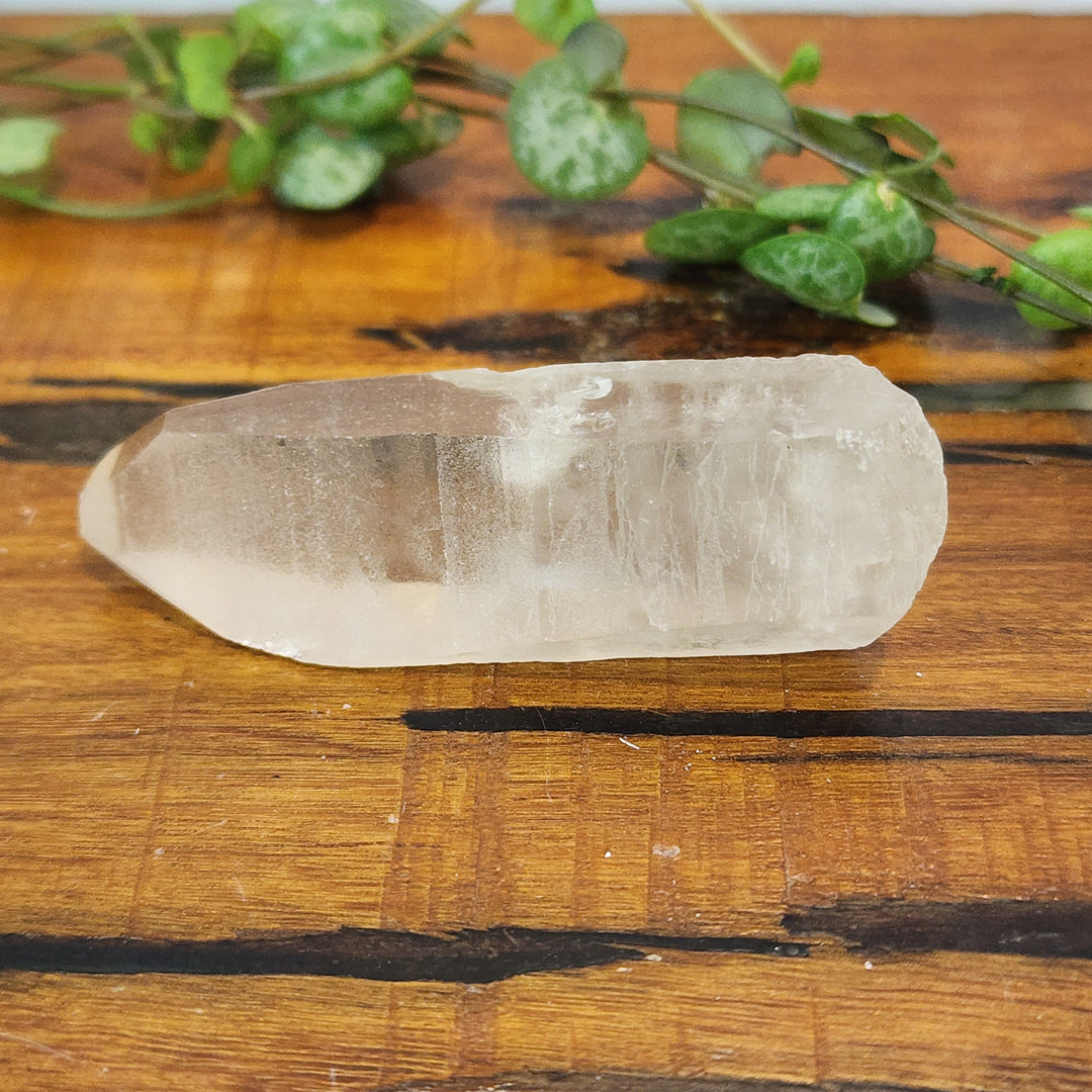 Lemuria Smoky Quartz - Point