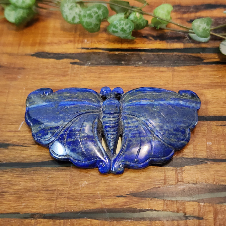 Lapis Lazuli - Butterflies