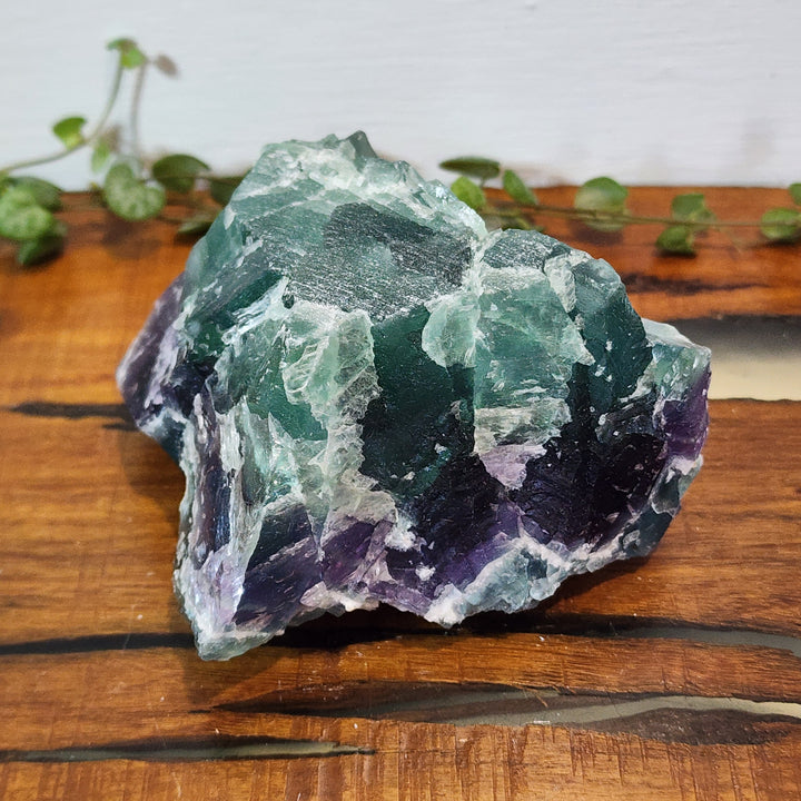 Rainbow Fluorite - Raw