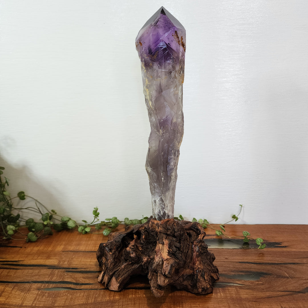 Amethyst - Point