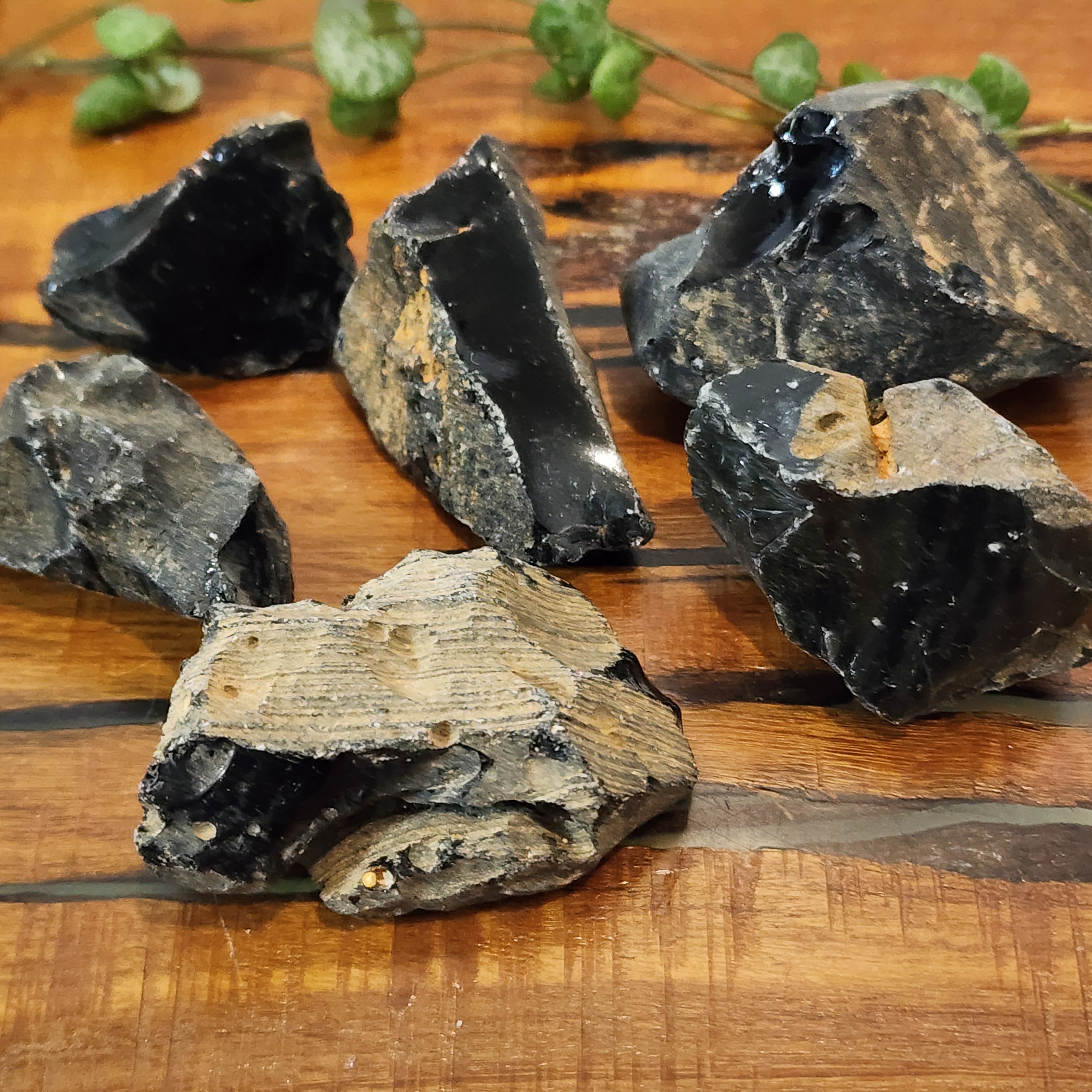 Obsidian Large Black Obsidian - Raw Large – Mel'z Place