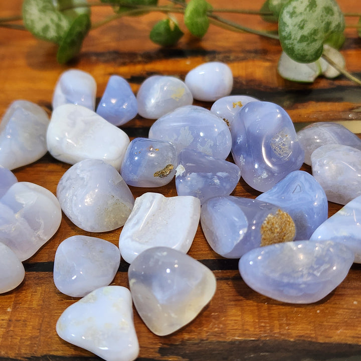 Blue Lace Agate - Chips