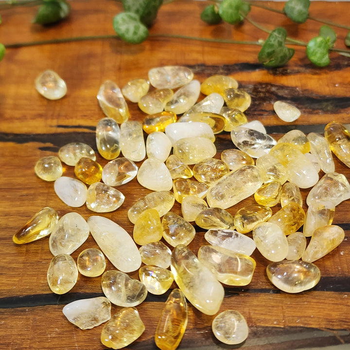 Citrine - Chips