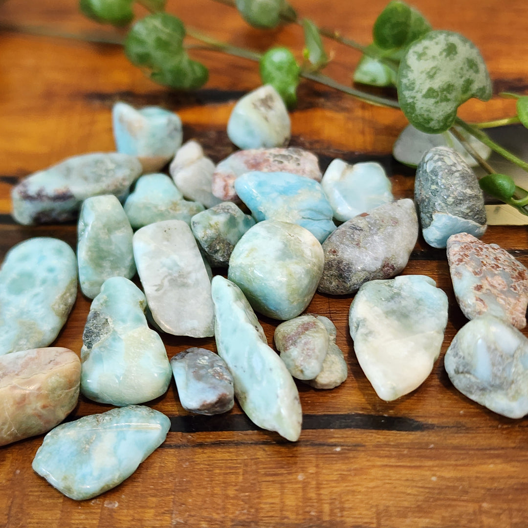 Larimar - Chips