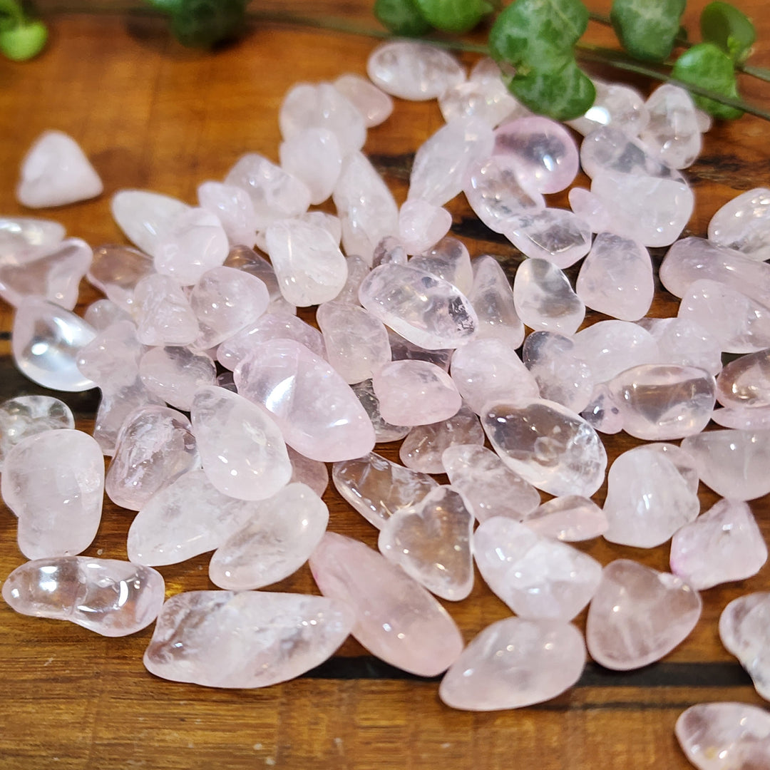 Rose Quartz - Chips