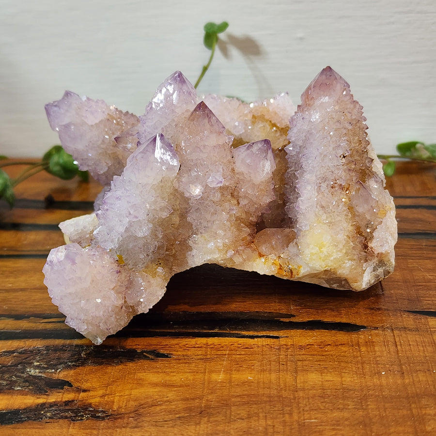 Spirit Quartz - Cluster - Mel'z Place