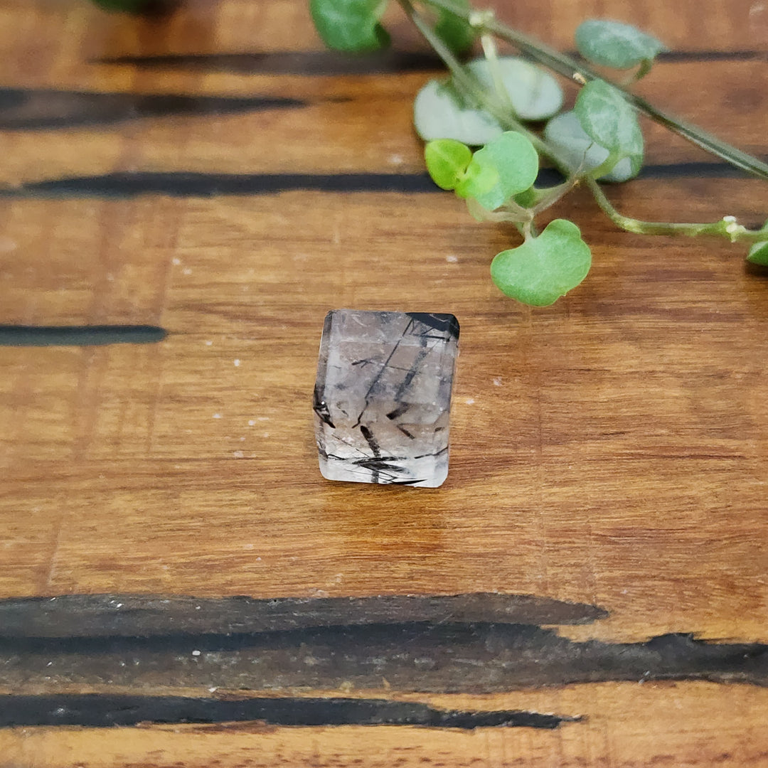 Black Tourmaline in Quartz - Cube