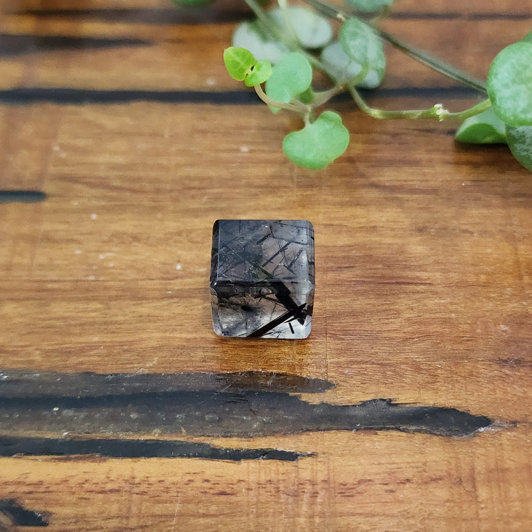 Black Tourmaline in Quartz - Cube