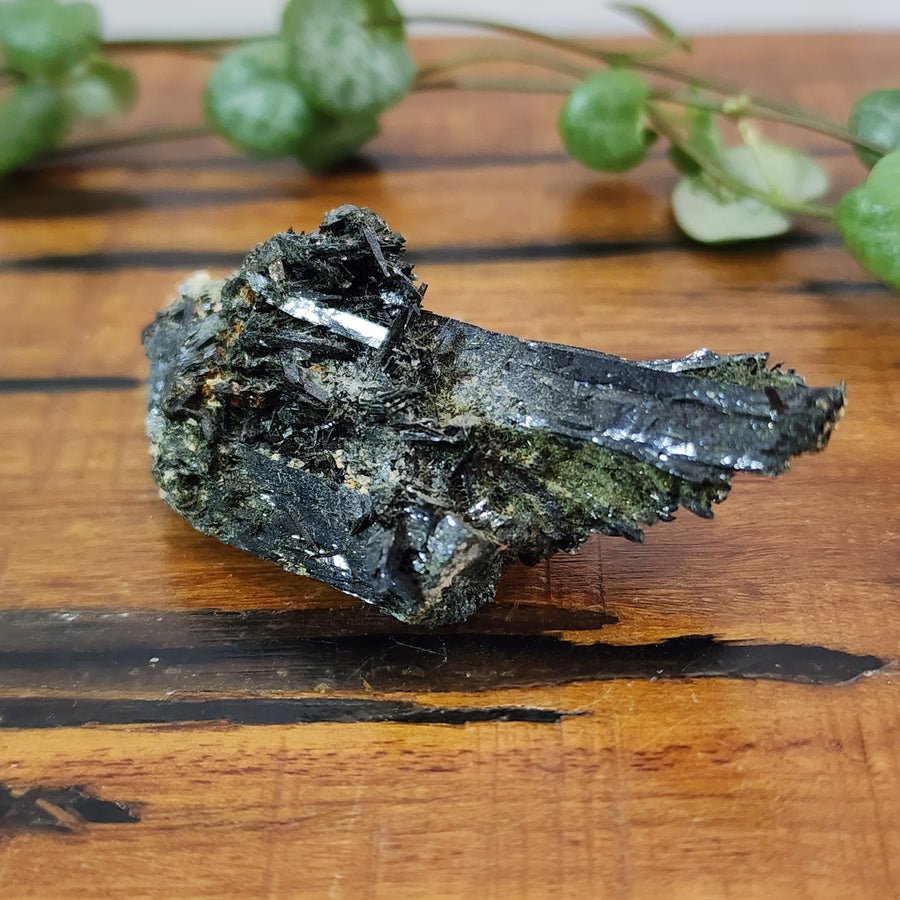 Aegirine Cluster - Mel'z Place