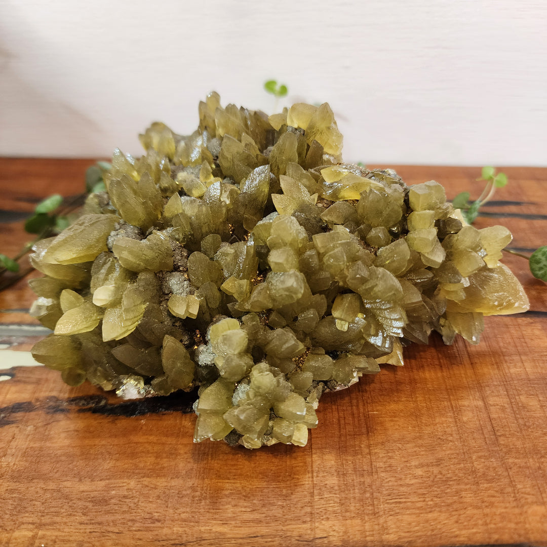 Yellow Calcite with Pyrite - Cluster