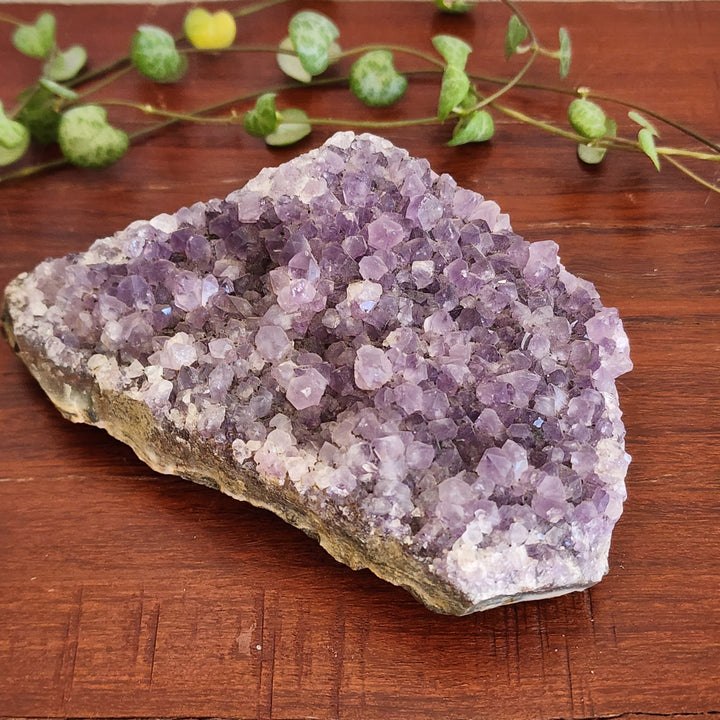 Amethyst - Cluster