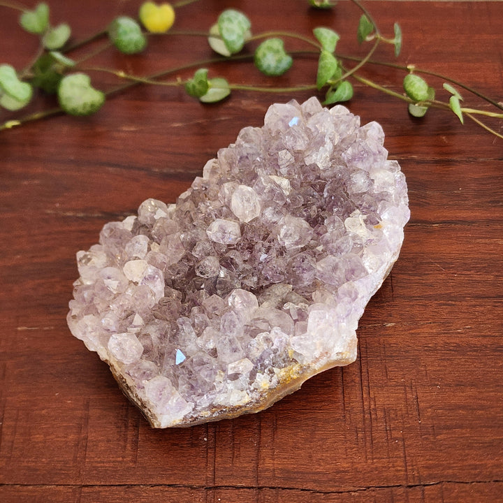 Amethyst - Cluster