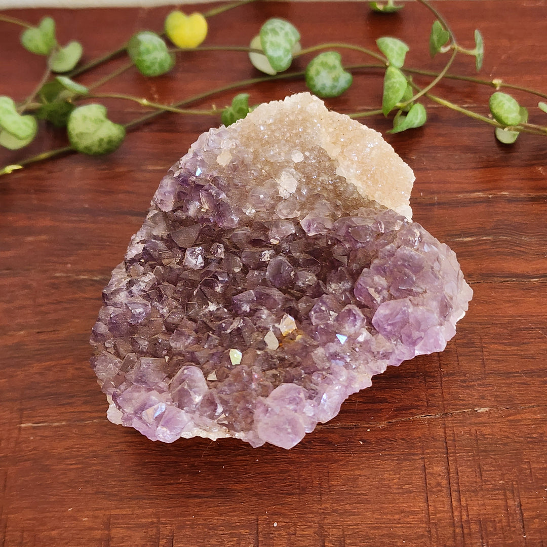 Amethyst - Cluster