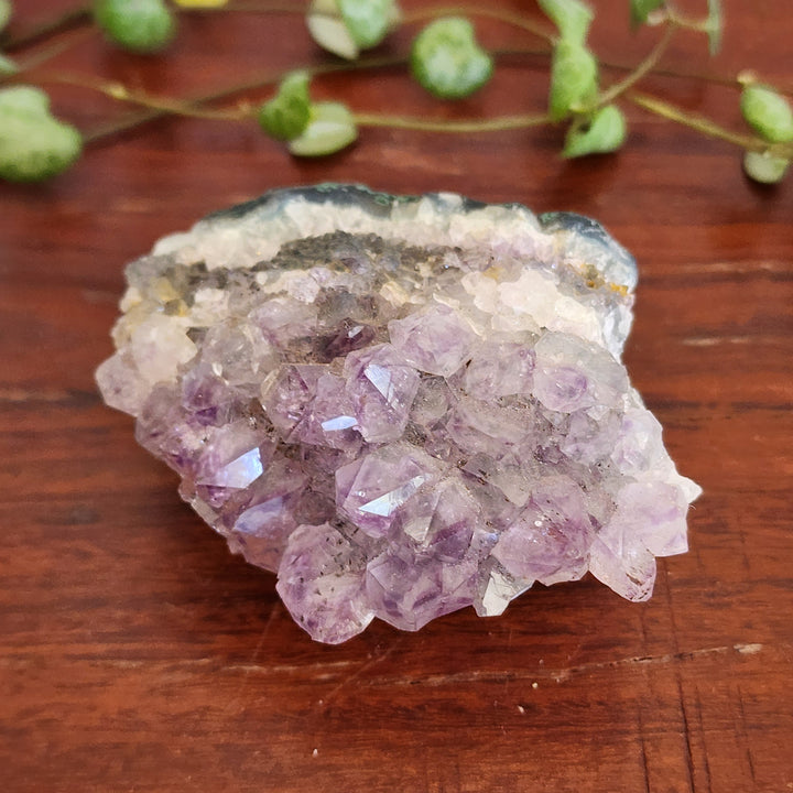 Amethyst - Cluster