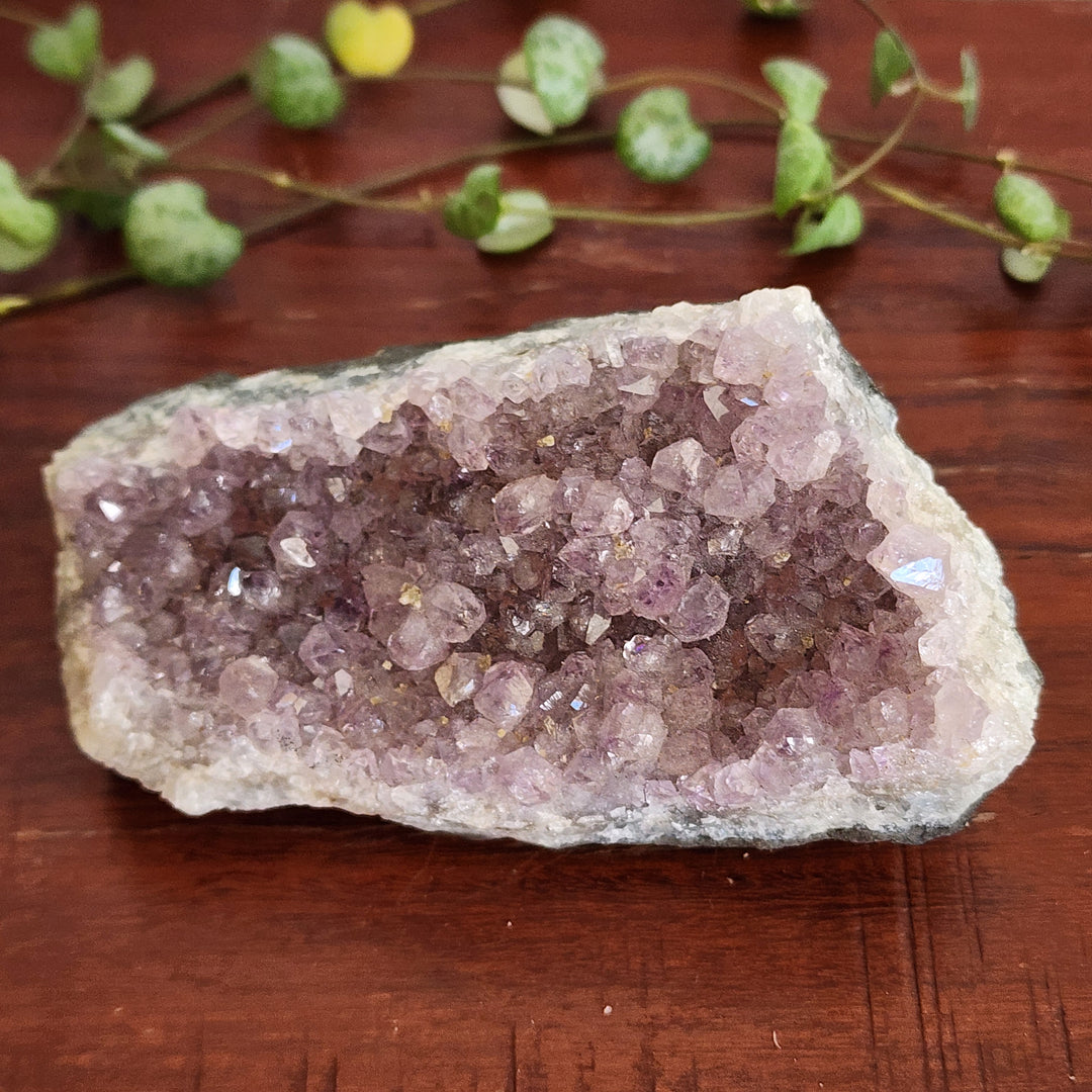 Amethyst - Cluster