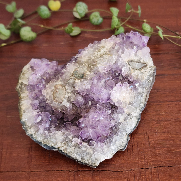 Amethyst - Cluster