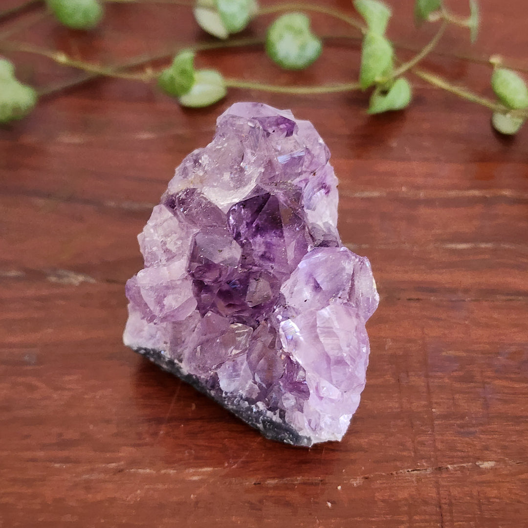 Amethyst - Cluster