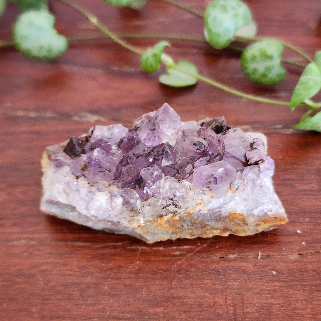 Amethyst - Cluster