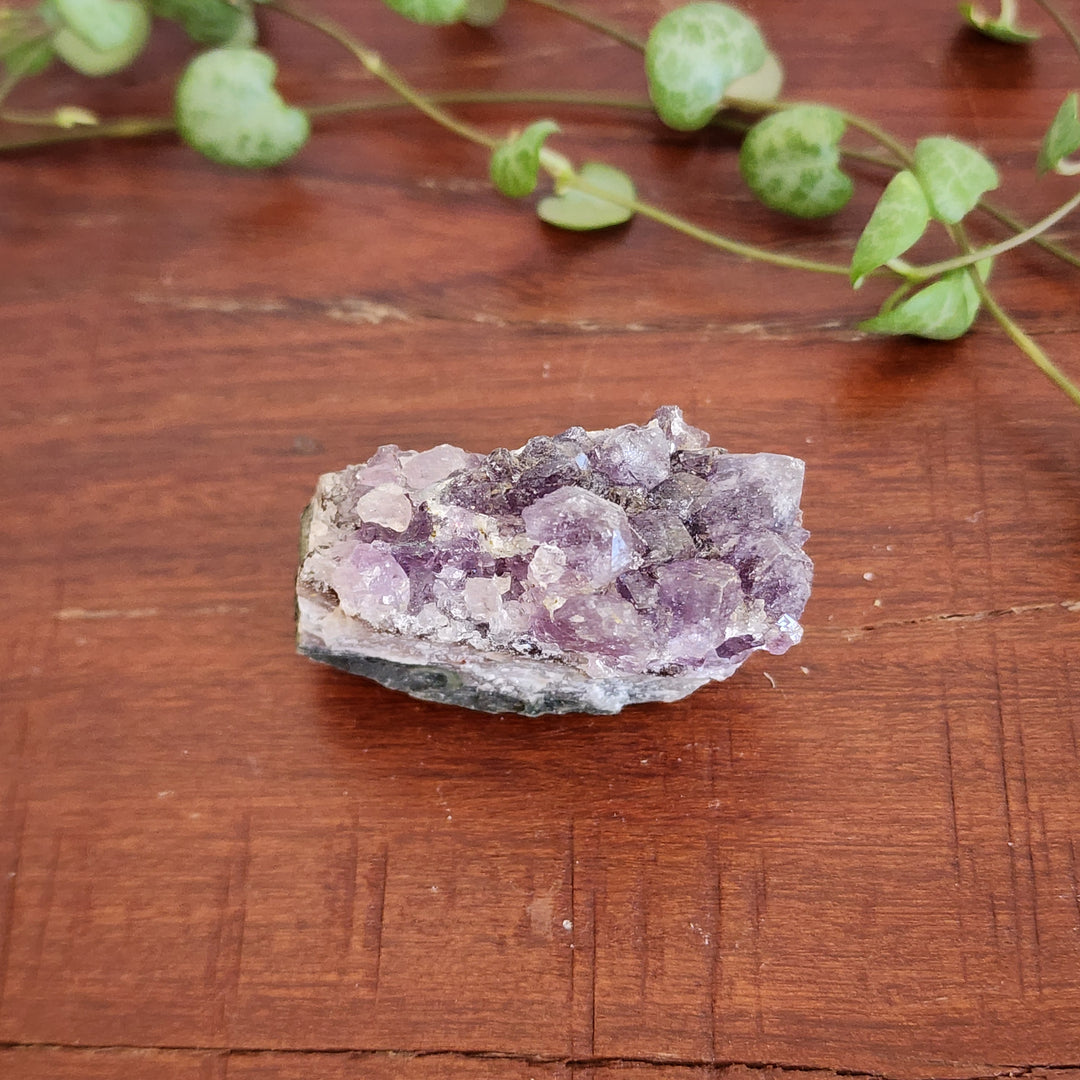 Amethyst - Cluster