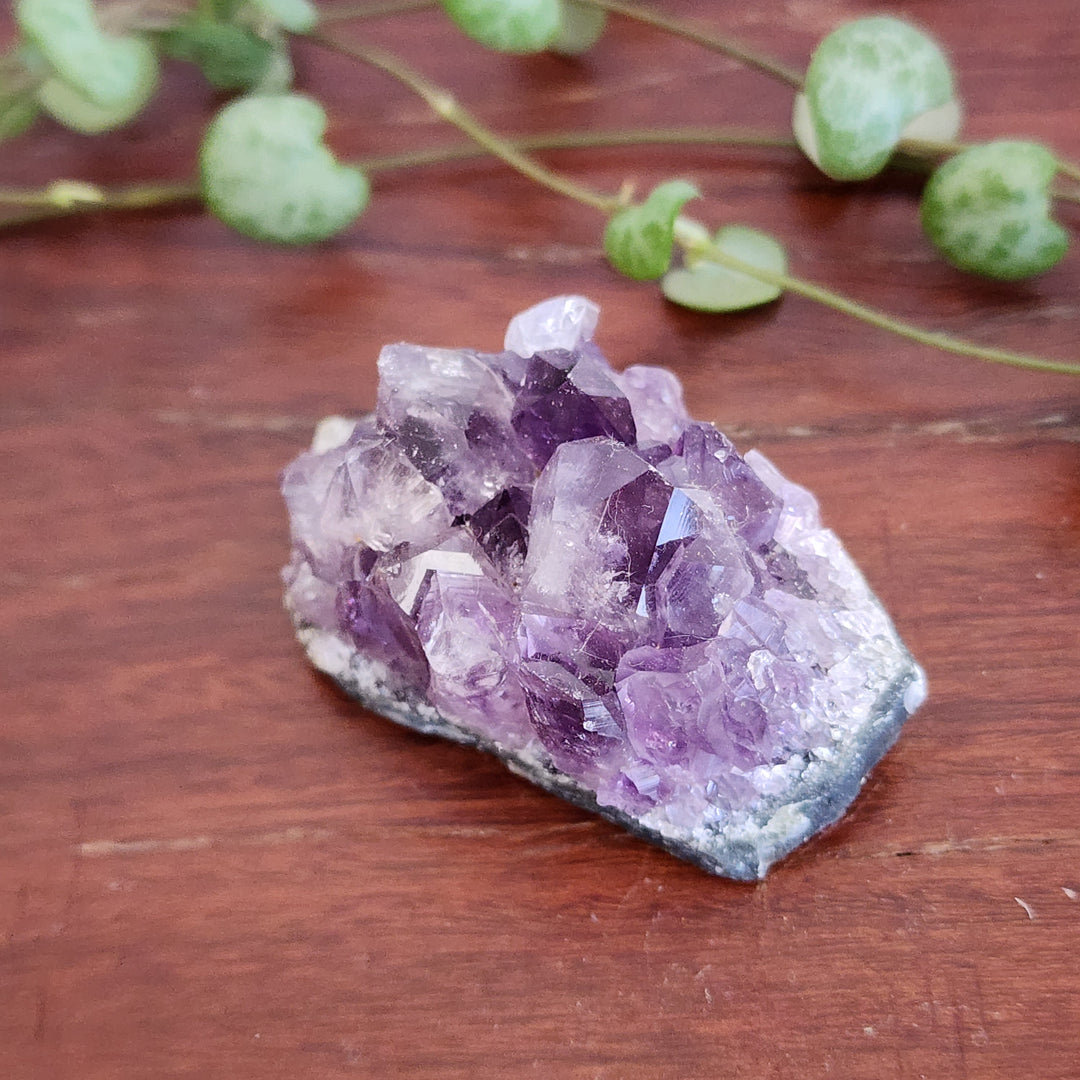 Amethyst - Cluster