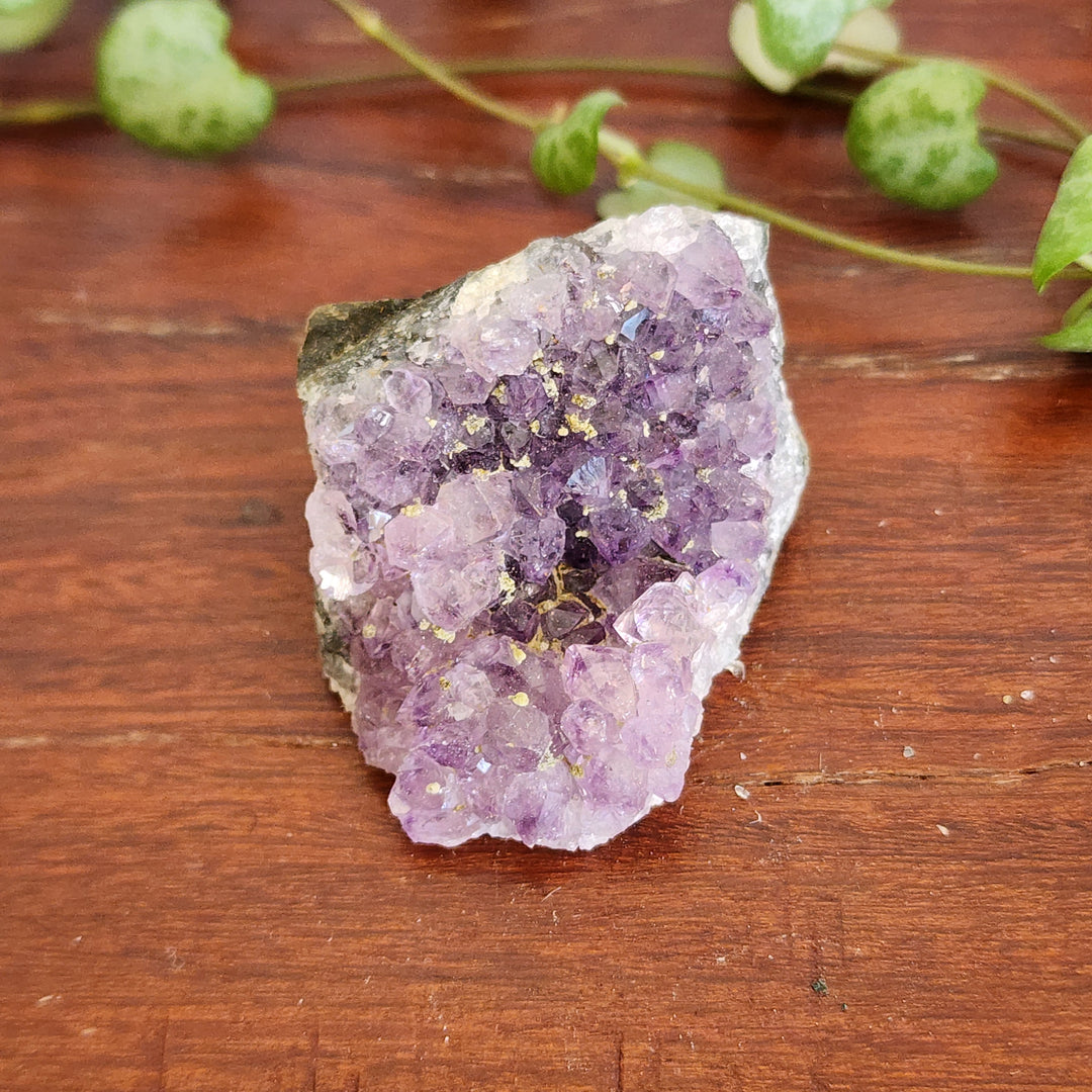 Amethyst - Cluster