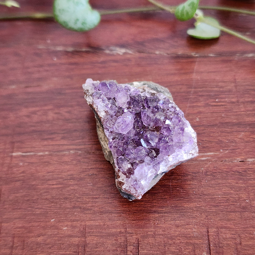 Amethyst - Cluster