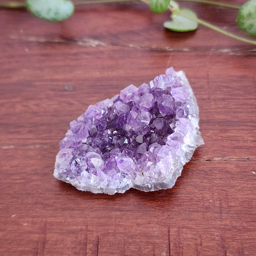 Amethyst - Cluster