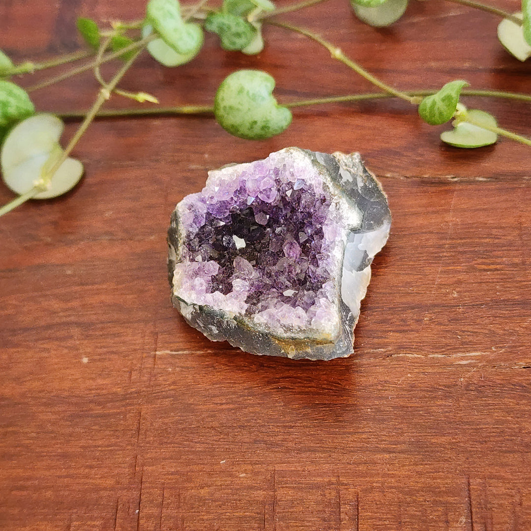 Amethyst - Cluster