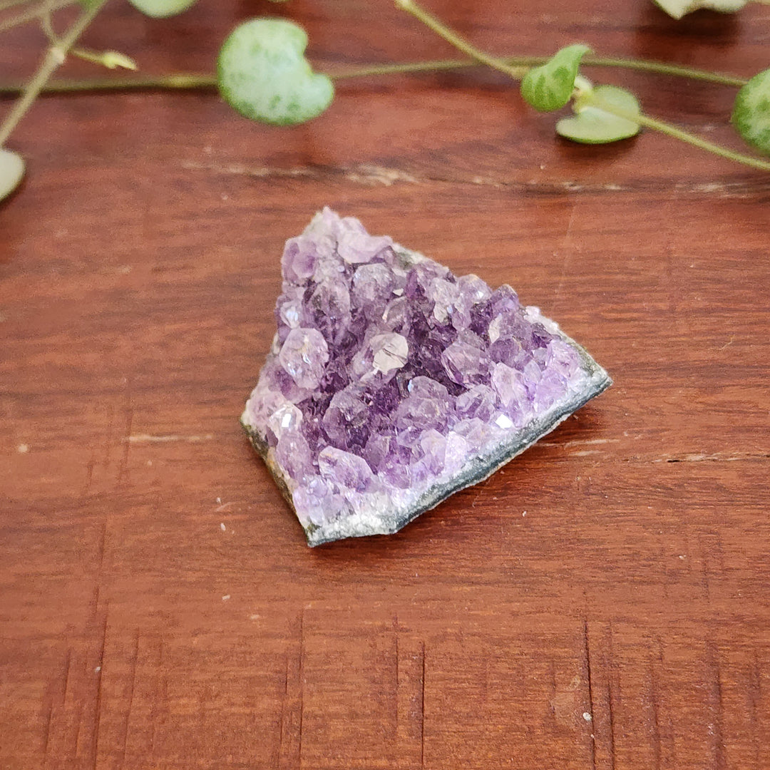 Amethyst - Cluster