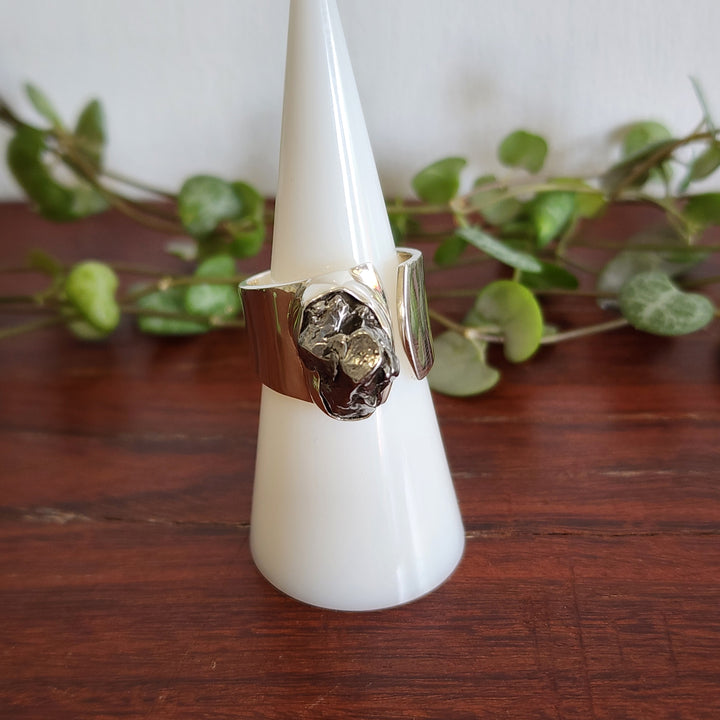 Metoerite - Ring