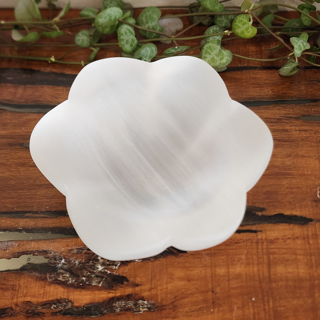 Selenite - Bowl