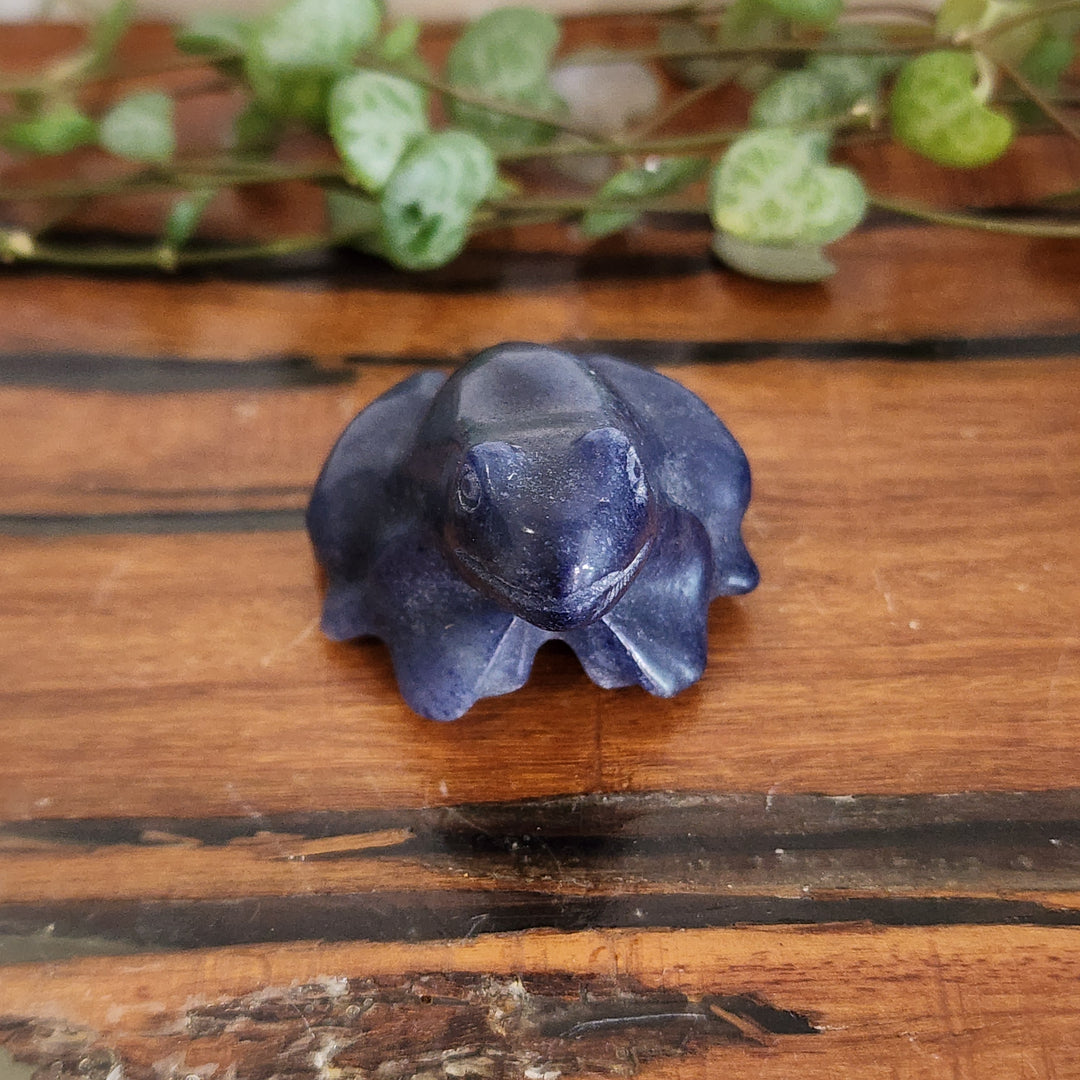 Blue Aventurine - Frog