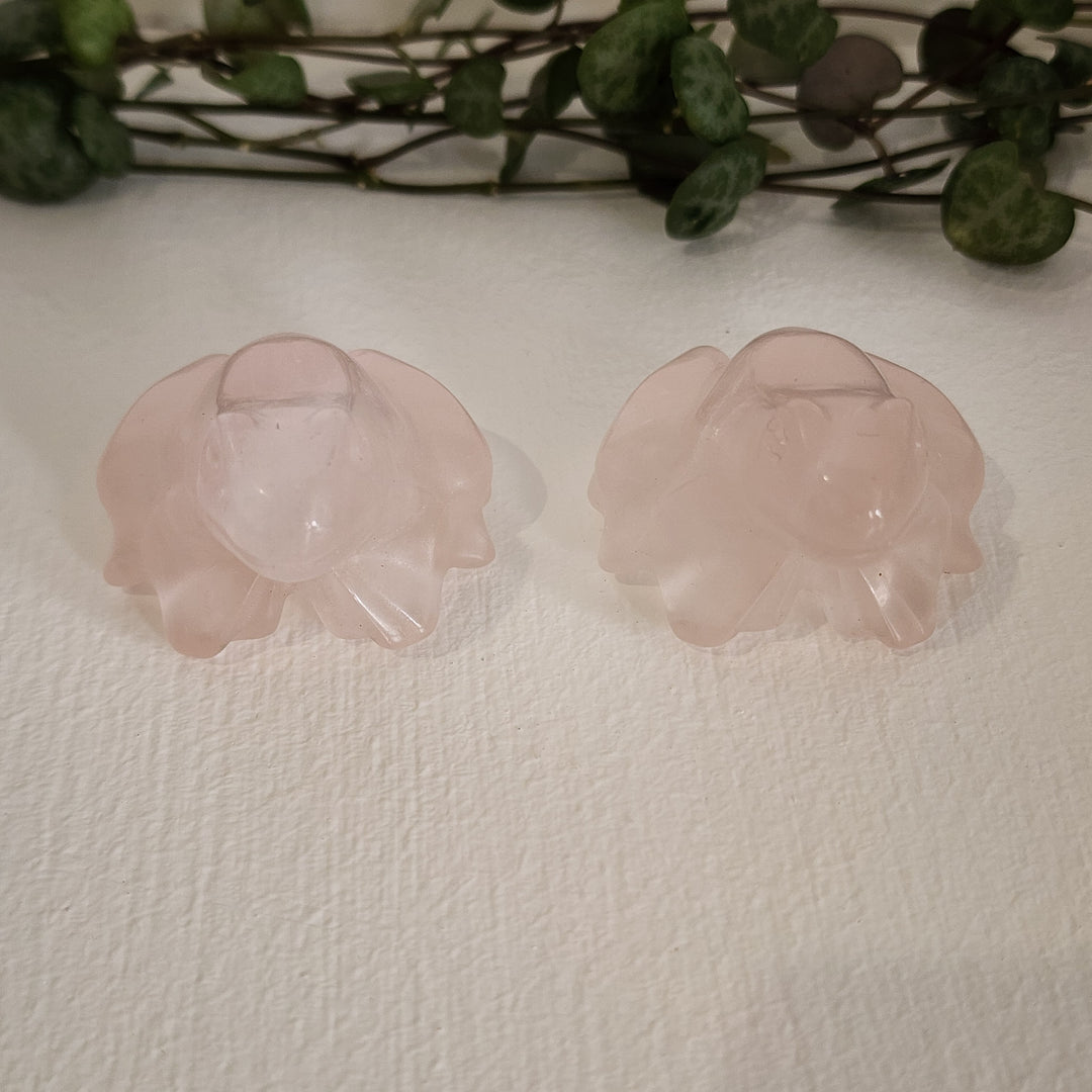 Rose Quartz - Frog