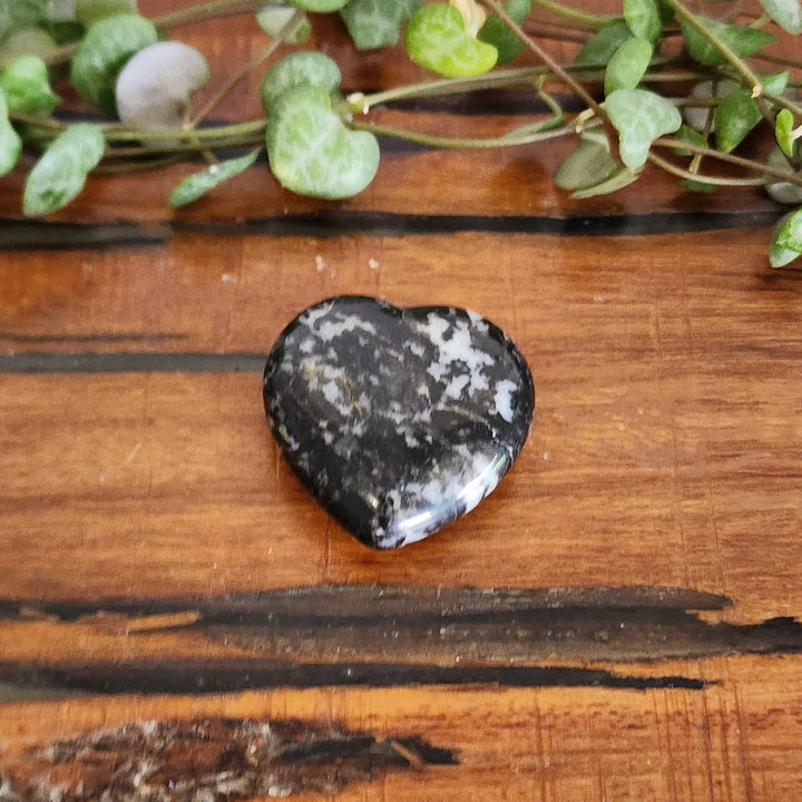 Black and White Zebra Jasper - Hearts 30mm