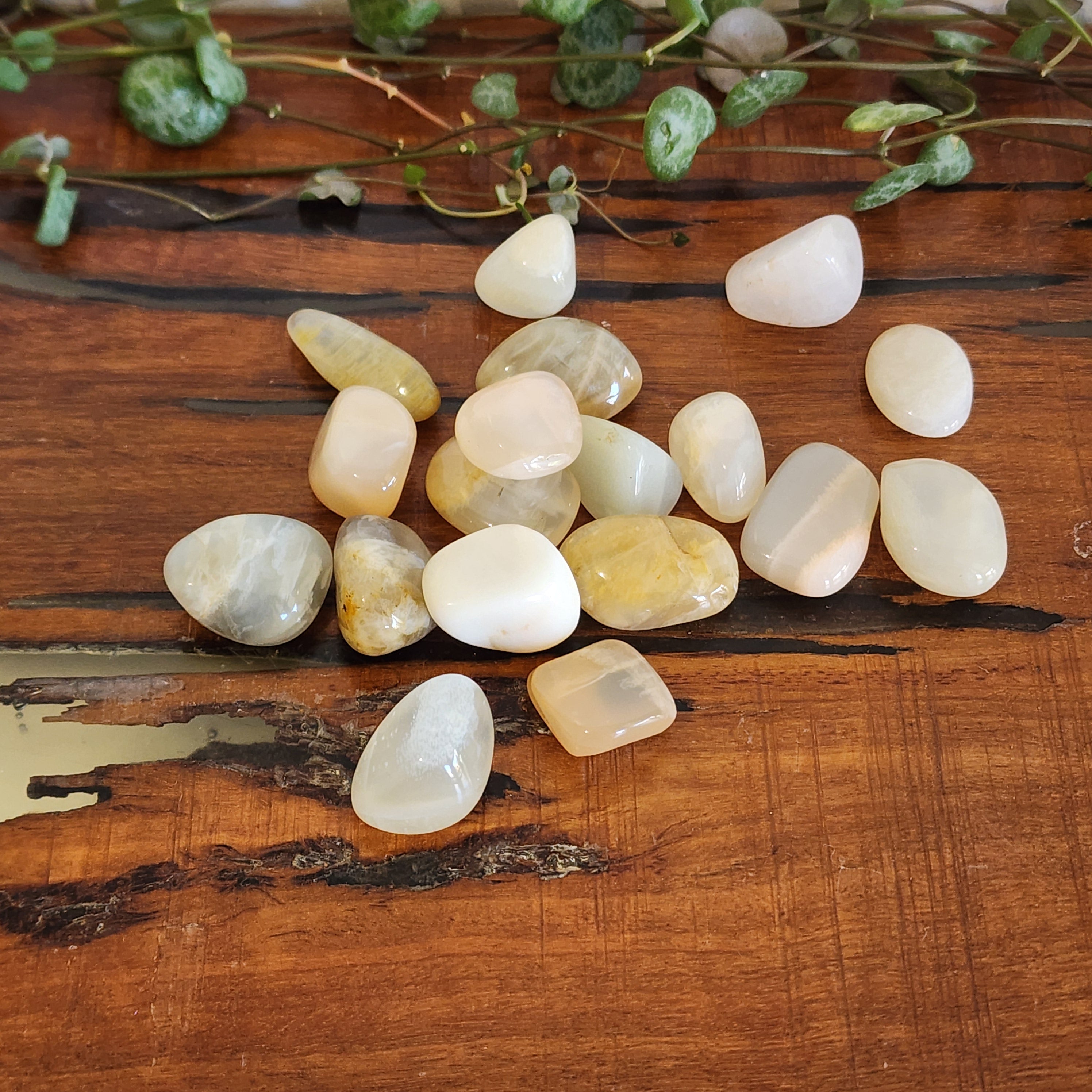 Cream Moonstone - Tumbled – Mel'z Place