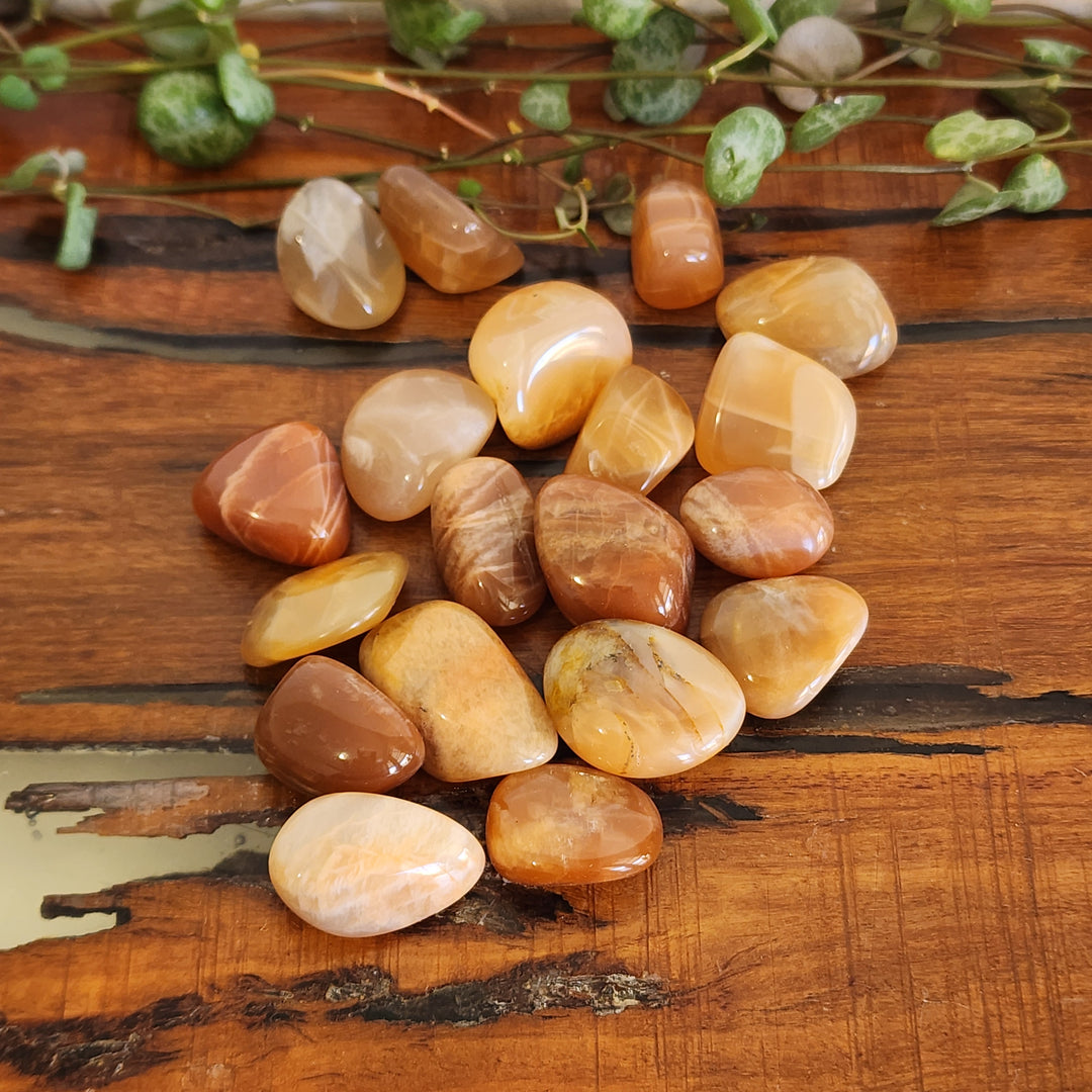 Peach Moonstone - Tumbled
