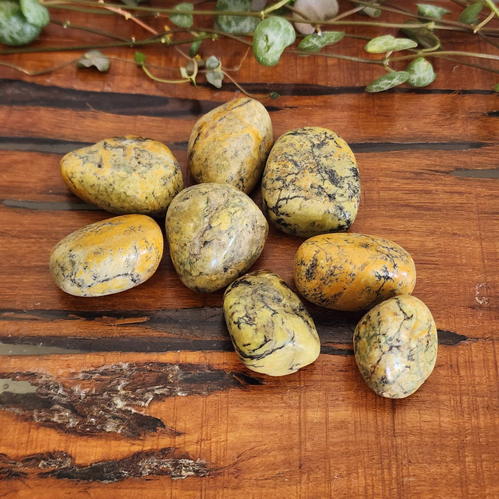 Lemon Matrix Jasper - Tumbled