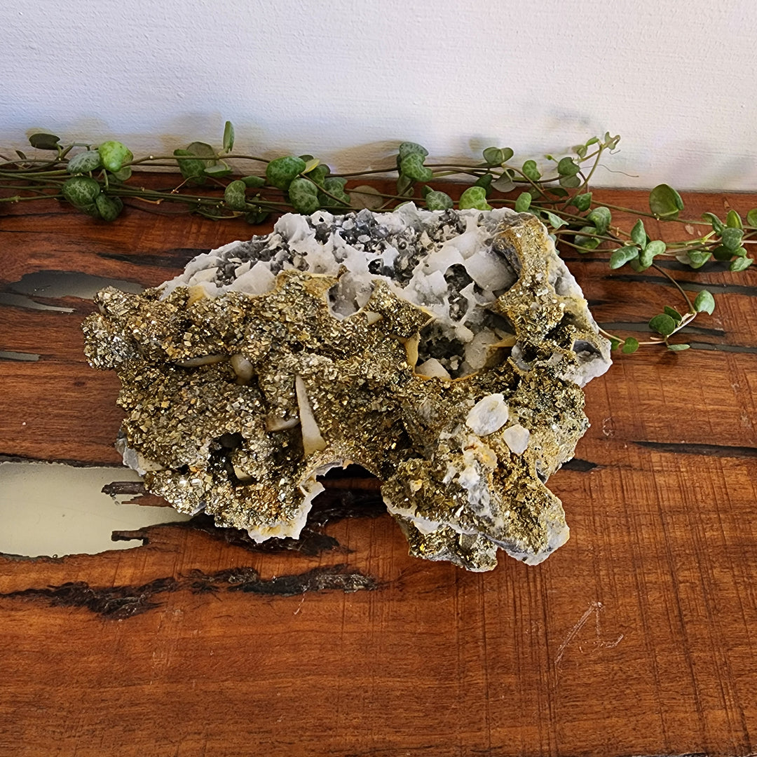 Pyrite - Specimen