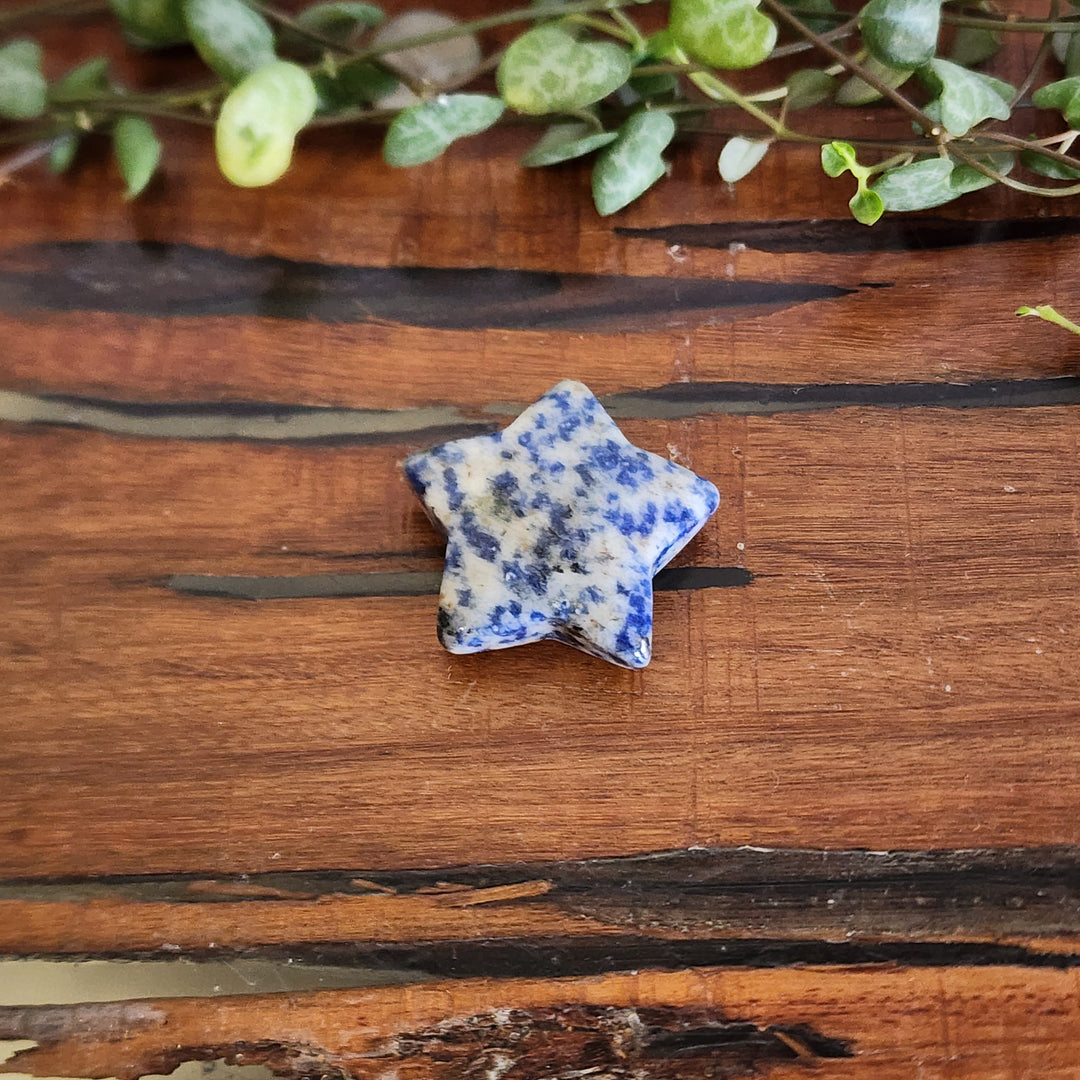 Blue Spot Jasper - Stars