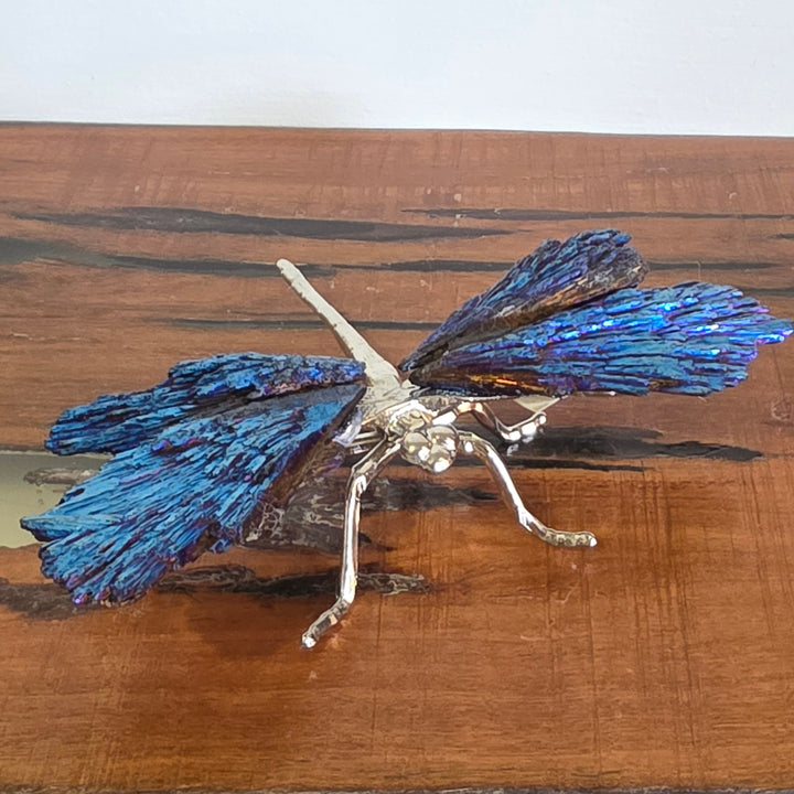 Aura Black Kyanite - Dragonfly