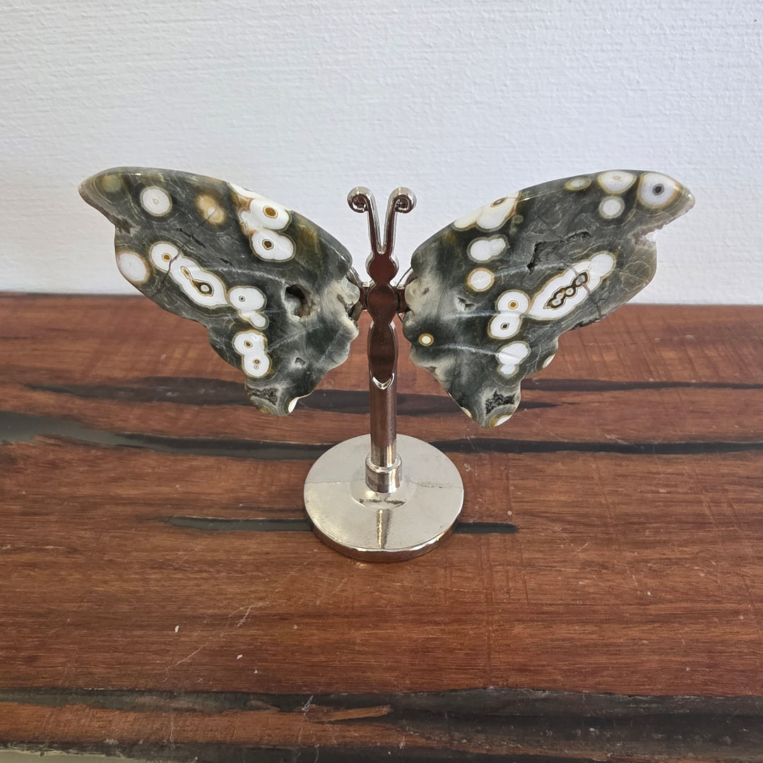 Ocean Jasper - Butterfly