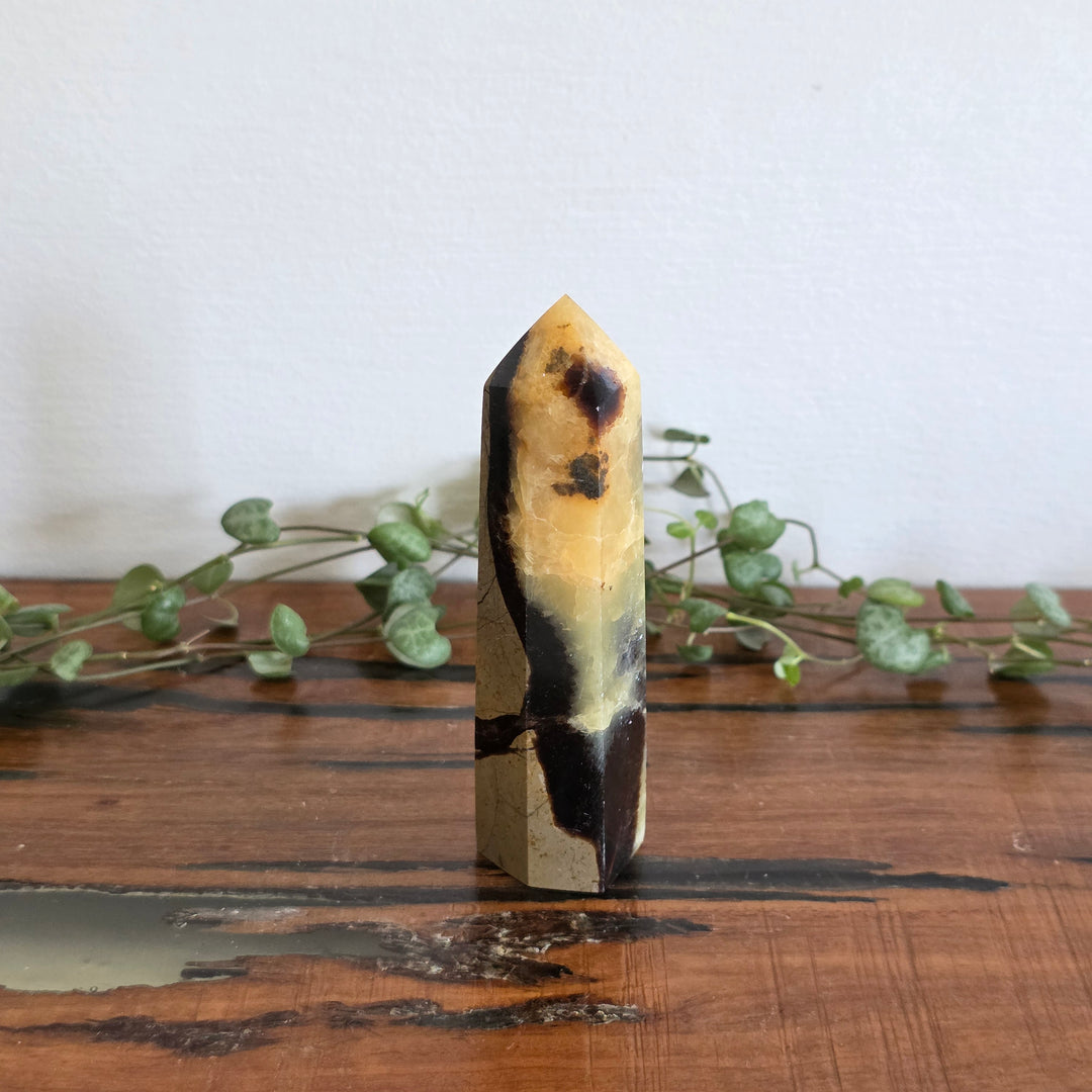 Septarian - Tower