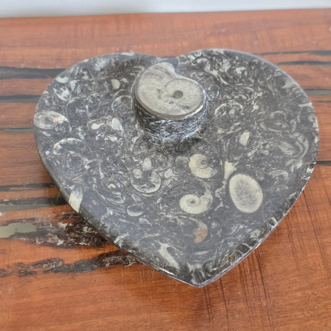 Gonistites Heart Bowl - Mel'z Place