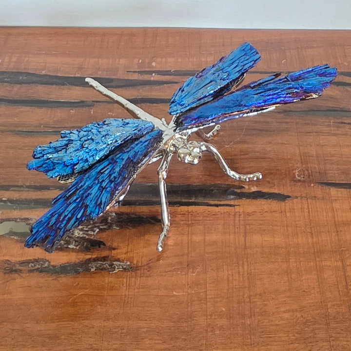 Aura Black Kyanite - Dragonfly