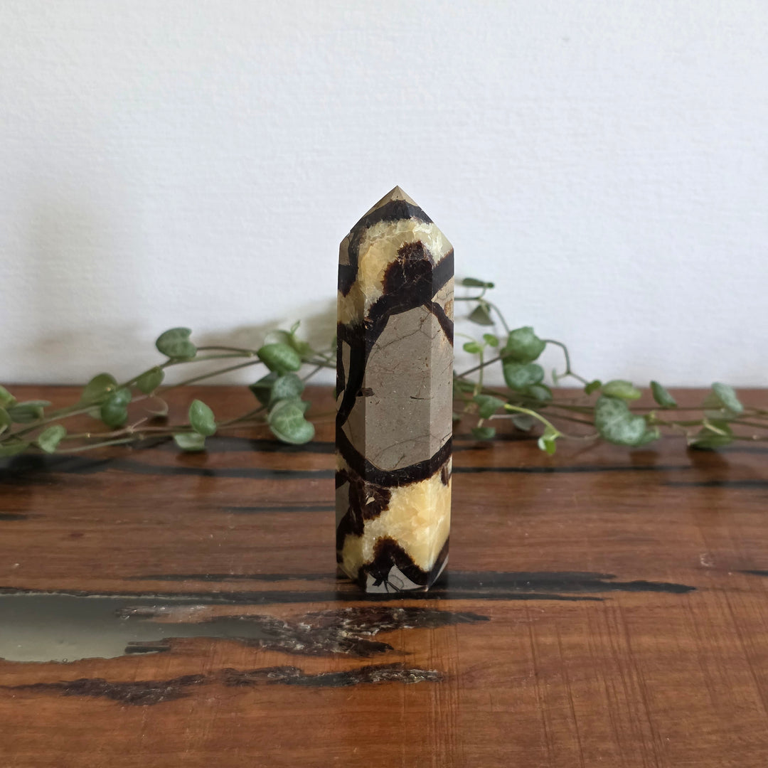 Septarian - Tower