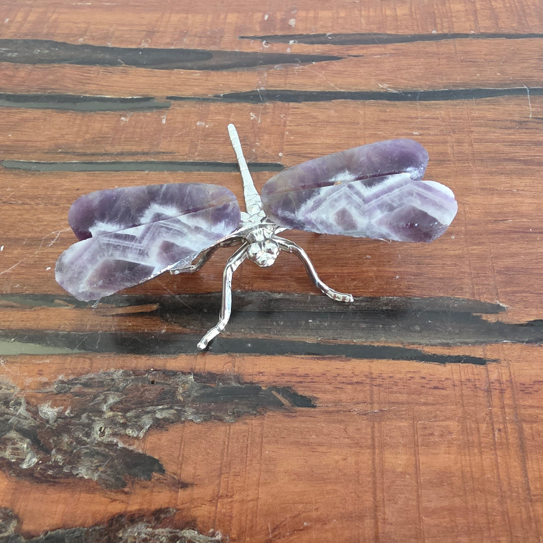 Chevron Amethyst - Dragonfly