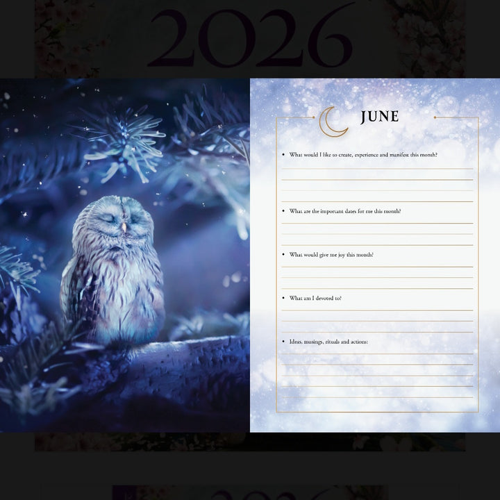 2026 Lunar and Seasonal Diary - Stacey Demarco