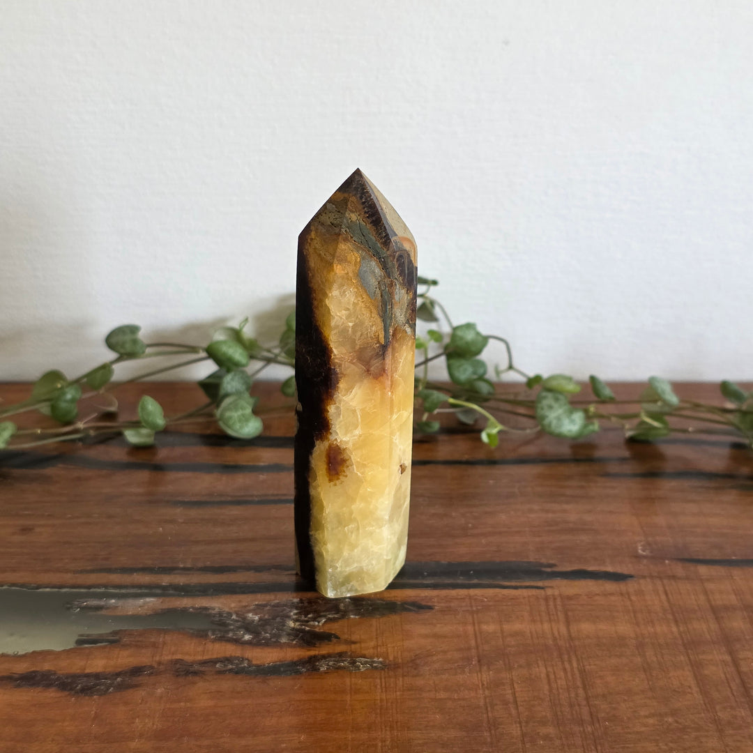 Septarian - Tower